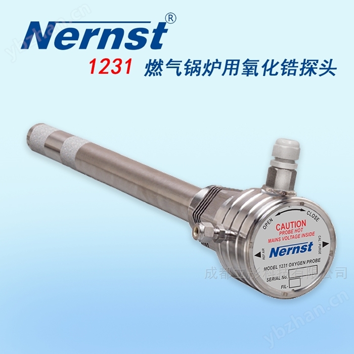 Zirconia probe